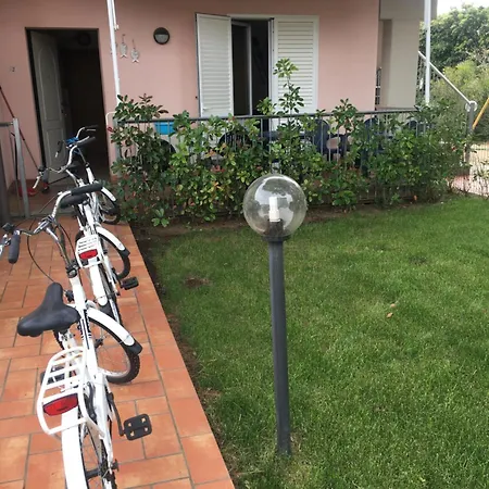 La Risacca San Vincenzo